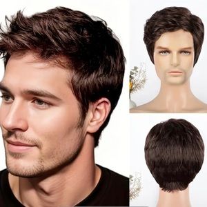 Men's Wig Dark Brown
